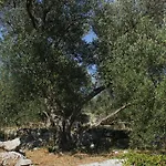 Tatil Evi Secluded Fisherman's Cove Magrovica - Telascica, Dugi Otok - 8142