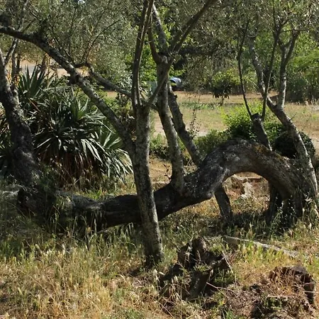 Secluded Fisherman's Cove Magrovica - Telascica, Dugi Otok - 8142 度假居 萨利
