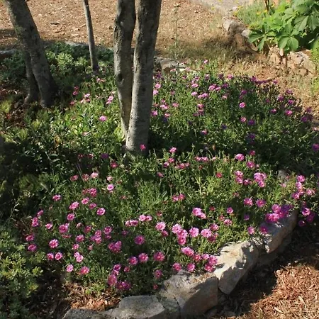 度假居 Secluded Fisherman's Cove Magrovica - Telascica, Dugi Otok - 8142 萨利