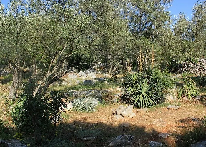 Secluded Fisherman's Cove Magrovica - Telascica, Dugi Otok - 8142