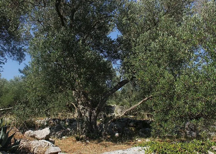 Nyaraló Secluded Fisherman's Cove Magrovica - Telascica, Dugi Otok - 8142