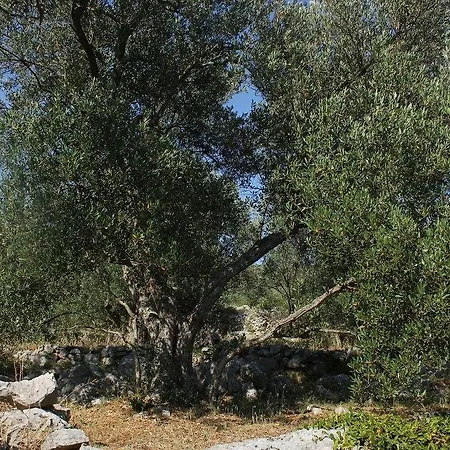 Nyaraló Secluded Fisherman's Cove Magrovica - Telascica, Dugi Otok - 8142